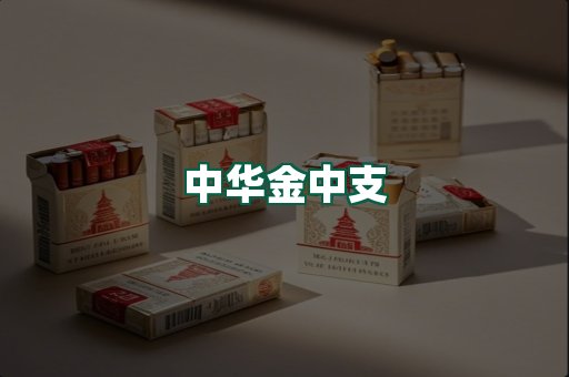 中华金中支